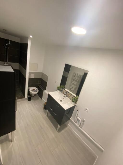 Appartement T2 Centre Ville Dole Esterno foto